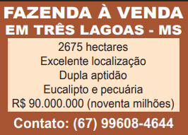 Foto - Três Lagoas - 